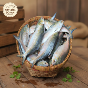 ইলিশ মাছ (Hilsha Fish) – পদ্মা নদীর আসল ইলিশ